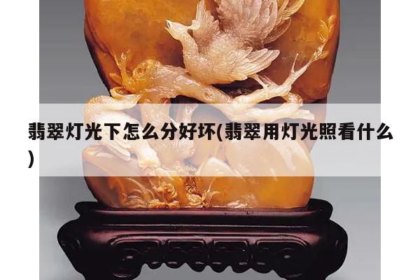 翡翠灯光下怎么分好坏(翡翠用灯光照看什么)
