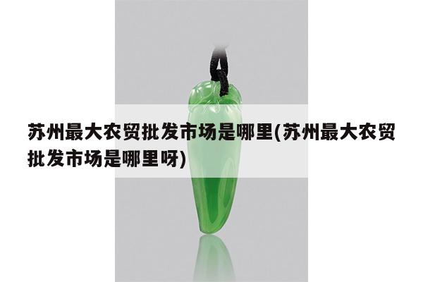苏州最大农贸批发市场是哪里(苏州最大农贸批发市场是哪里呀)