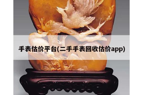 手表估价平台(二手手表回收估价app)