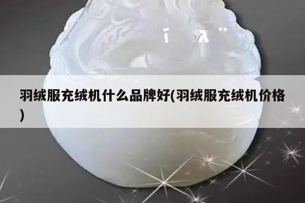 羽绒服充绒机什么品牌好(羽绒服充绒机价格)
