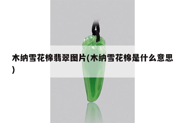 木纳雪花棉翡翠图片(木纳雪花棉是什么意思)