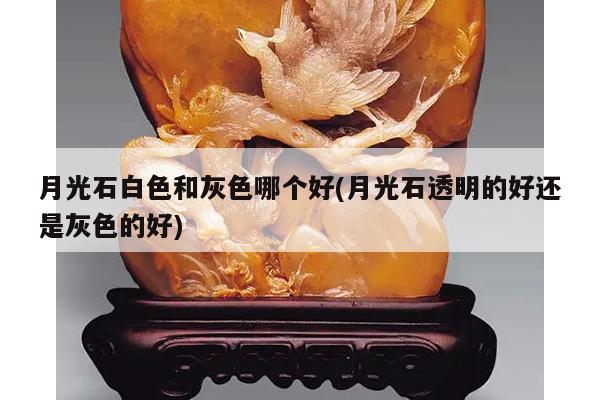 月光石白色和灰色哪个好(月光石透明的好还是灰色的好)