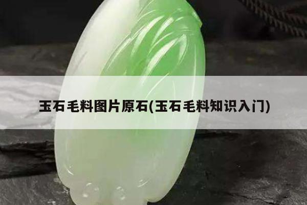 玉石毛料图片原石(玉石毛料知识入门)