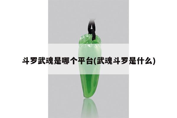 斗罗武魂是哪个平台(武魂斗罗是什么)