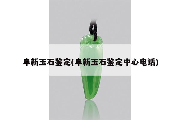阜新玉石鉴定(阜新玉石鉴定中心电话)