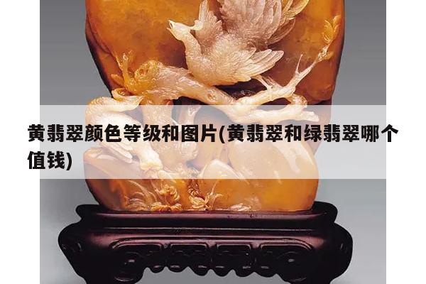 黄翡翠颜色等级和图片(黄翡翠和绿翡翠哪个值钱)