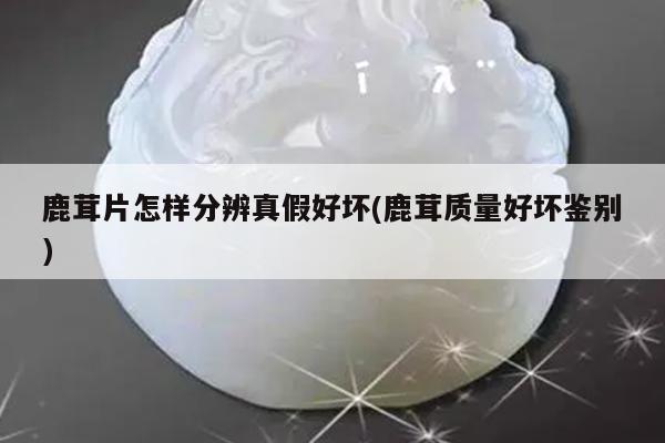 鹿茸片怎样分辨真假好坏(鹿茸质量好坏鉴别)