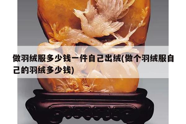做羽绒服多少钱一件自己出绒(做个羽绒服自己的羽绒多少钱)