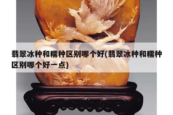 翡翠冰种和糯种区别哪个好(翡翠冰种和糯种区别哪个好一点)