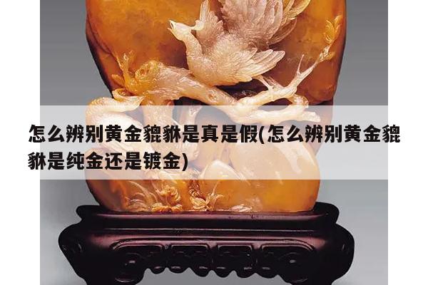 怎么辨别黄金貔貅是真是假(怎么辨别黄金貔貅是纯金还是镀金)