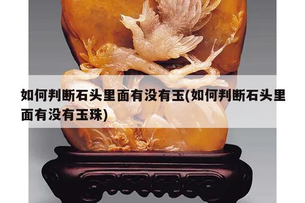 如何判断石头里面有没有玉(如何判断石头里面有没有玉珠)