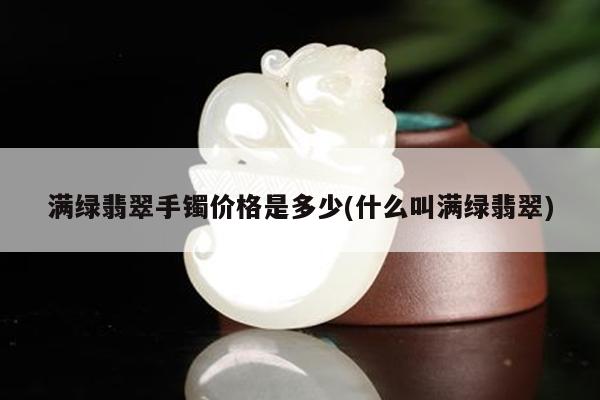 满绿翡翠手镯价格是多少(什么叫满绿翡翠)