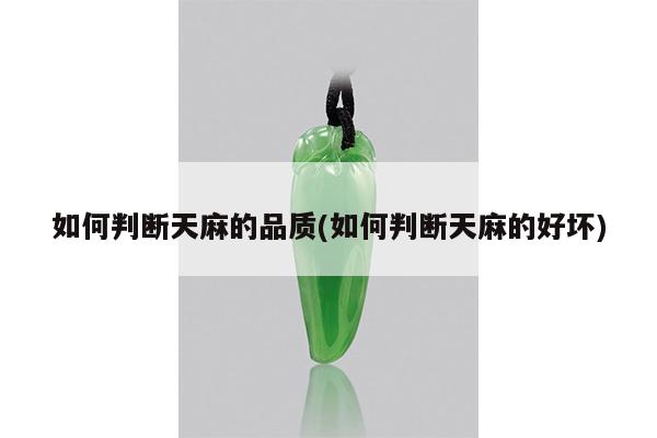 如何判断天麻的品质(如何判断天麻的好坏)