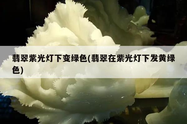 翡翠紫光灯下变绿色(翡翠在紫光灯下发黄绿色)