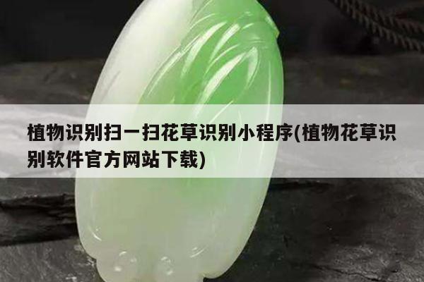 植物识别扫一扫花草识别小程序(植物花草识别软件官方网站下载)