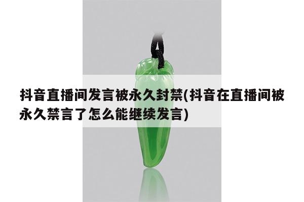 抖音直播间发言被永久封禁(抖音在直播间被永久禁言了怎么能继续发言)