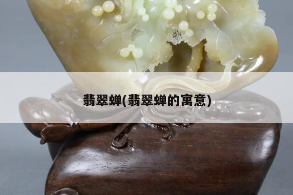 翡翠蝉(翡翠蝉的寓意)