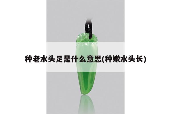 种老水头足是什么意思(种嫩水头长)