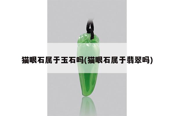 猫眼石属于玉石吗(猫眼石属于翡翠吗)