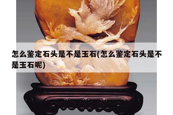 怎么鉴定石头是不是玉石(怎么鉴定石头是不是玉石呢)