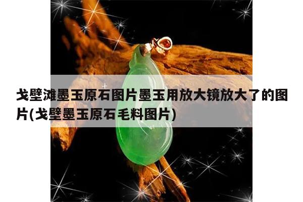 戈壁滩墨玉原石图片墨玉用放大镜放大了的图片(戈壁墨玉原石毛料图片)