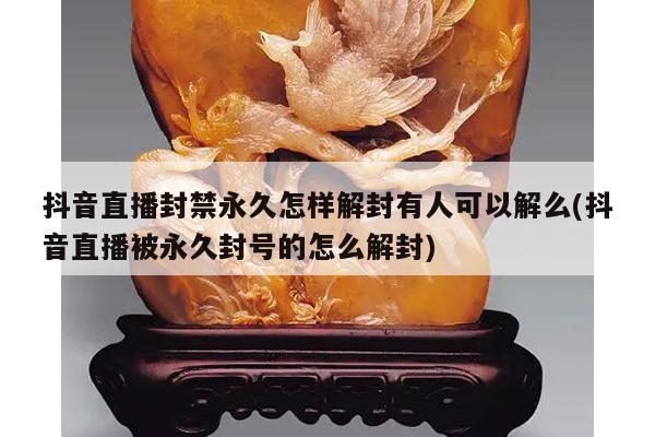 抖音直播封禁永久怎样解封有人可以解么(抖音直播被永久封号的怎么解封)