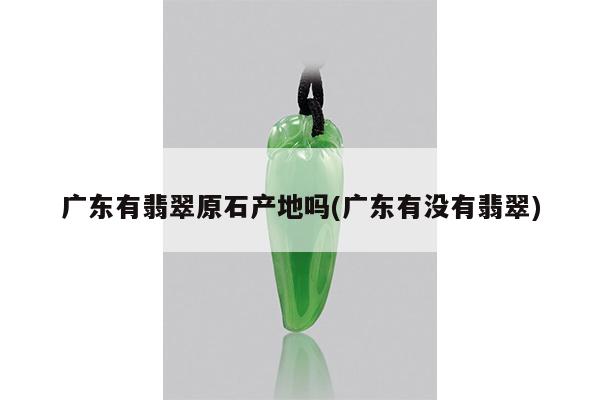 广东有翡翠原石产地吗(广东有没有翡翠)