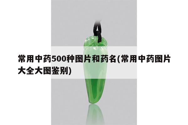 常用中药500种图片和药名(常用中药图片大全大图鉴别)