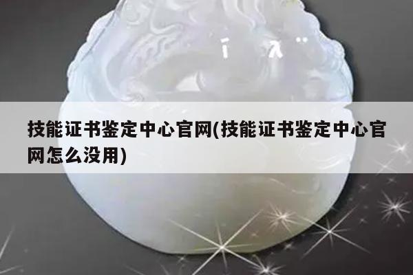技能证书鉴定中心官网(技能证书鉴定中心官网怎么没用)