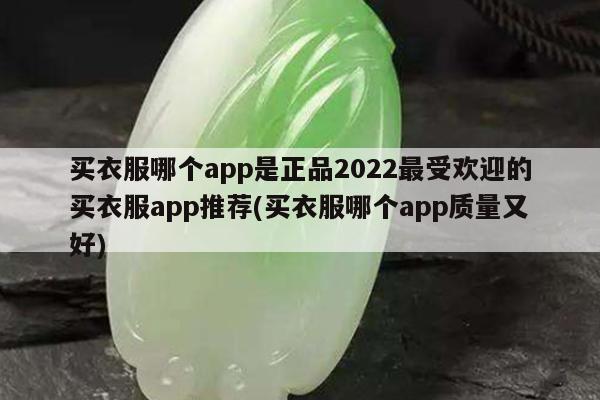 买衣服哪个app是正品2022最受欢迎的买衣服app推荐(买衣服哪个app质量又好)