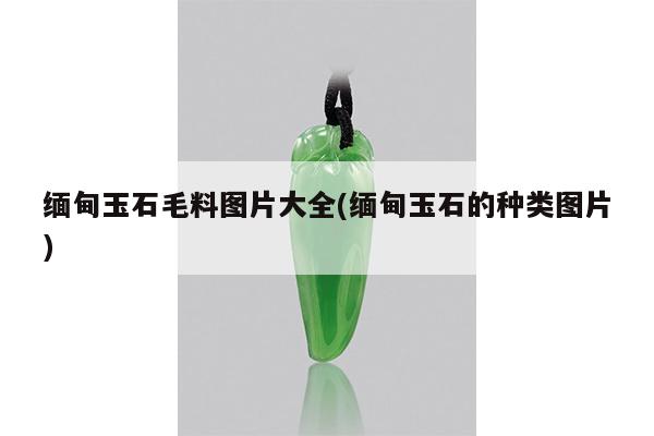 缅甸玉石毛料图片大全(缅甸玉石的种类图片)