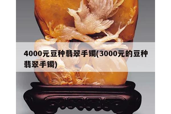 4000元豆种翡翠手镯(3000元的豆种翡翠手镯)