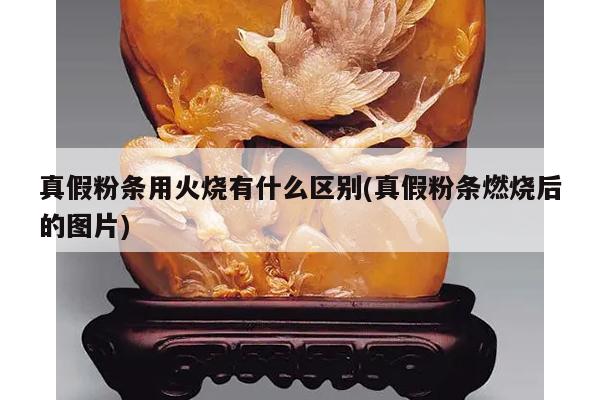 真假粉条用火烧有什么区别(真假粉条燃烧后的图片)