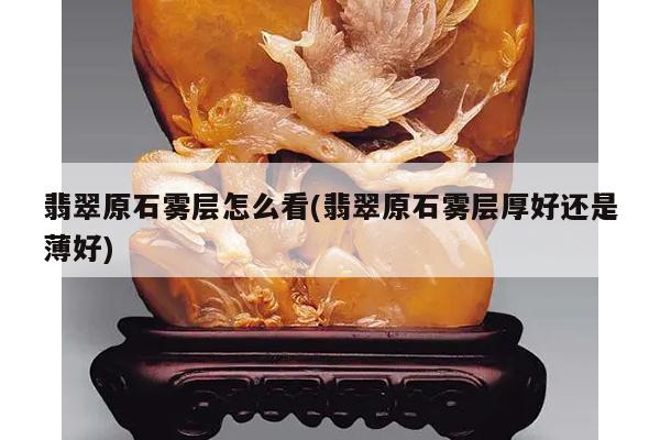 翡翠原石雾层怎么看(翡翠原石雾层厚好还是薄好)