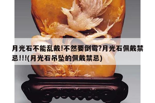 月光石不能乱戴!不然要倒霉?月光石佩戴禁忌!!!(月光石吊坠的佩戴禁忌)