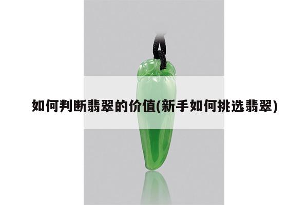 如何判断翡翠的价值(新手如何挑选翡翠)