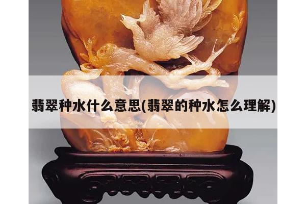 翡翠种水什么意思(翡翠的种水怎么理解)