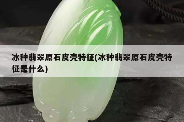 冰种翡翠原石皮壳特征(冰种翡翠原石皮壳特征是什么)