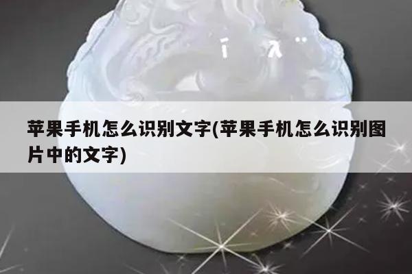 苹果手机怎么识别文字(苹果手机怎么识别图片中的文字)