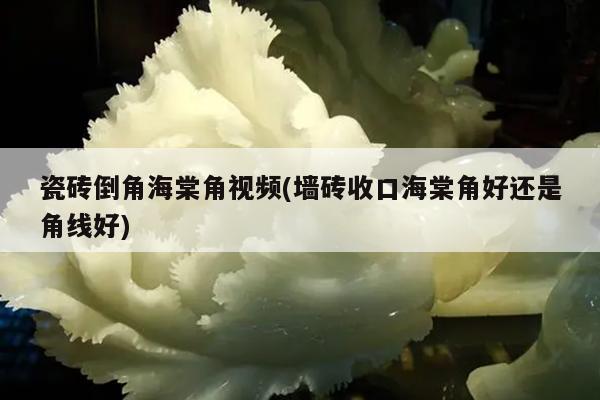 瓷砖倒角海棠角视频(墙砖收口海棠角好还是角线好)
