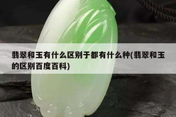 翡翠和玉有什么区别于都有什么种(翡翠和玉的区别百度百科)