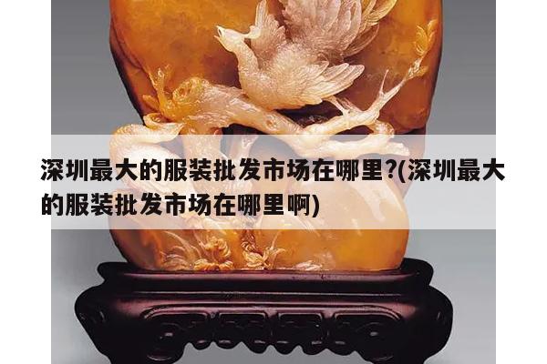深圳最大的服装批发市场在哪里?(深圳最大的服装批发市场在哪里啊)