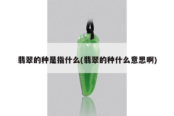 翡翠的种是指什么(翡翠的种什么意思啊)