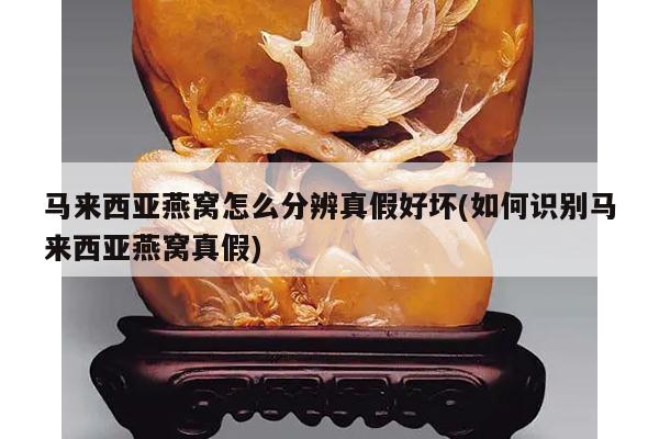 马来西亚燕窝怎么分辨真假好坏(如何识别马来西亚燕窝真假)