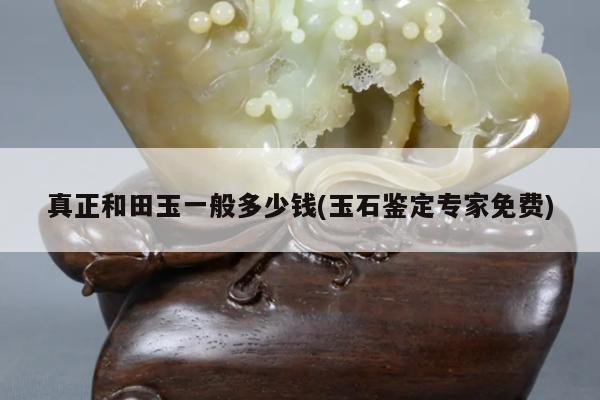 真正和田玉一般多少钱(玉石鉴定专家免费)
