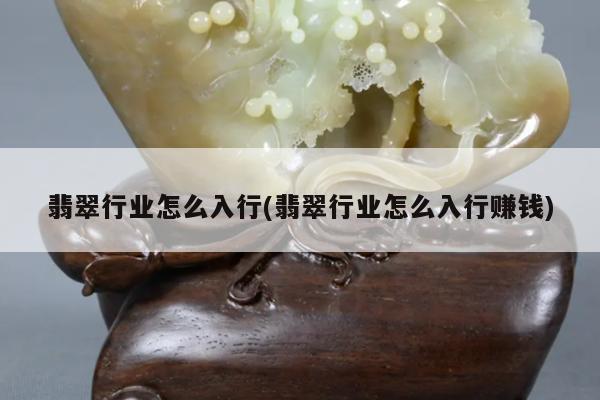 翡翠行业怎么入行(翡翠行业怎么入行赚钱)