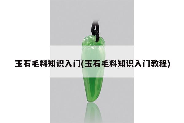 玉石毛料知识入门(玉石毛料知识入门教程)