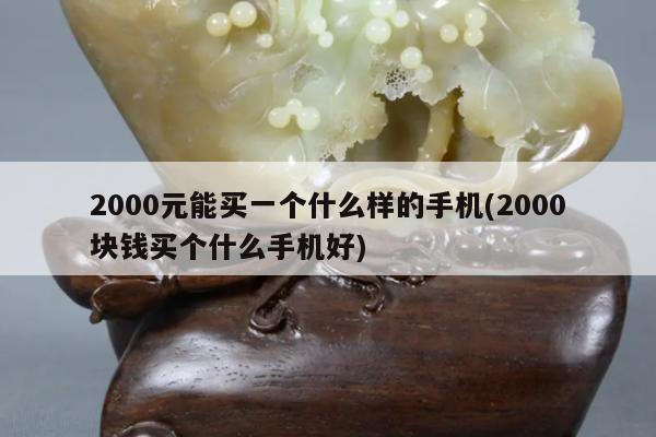 2000元能买一个什么样的手机(2000块钱买个什么手机好)