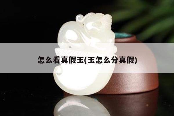 怎么看真假玉(玉怎么分真假)