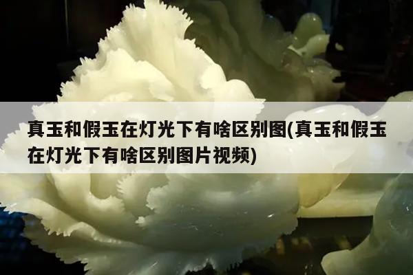真玉和假玉在灯光下有啥区别图(真玉和假玉在灯光下有啥区别图片视频)